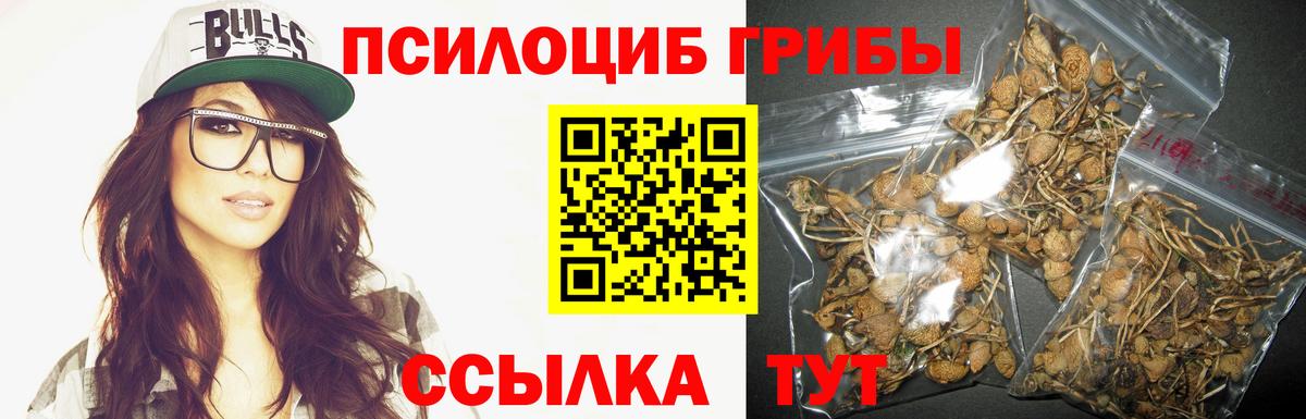 купить наркотики сайты  Вход с VPN  Псилоцибиновые грибы Psilocybine cubensis  Орск  Галлюциногенные грибы Psilocybine cubensis 